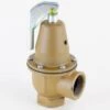Watts 740-1 1/4-50 Pound 75000 Relief Valve