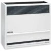 Williams Direct-Vent Gravity Wall Heater 22000 Btuh 67% Afue Natural Gas